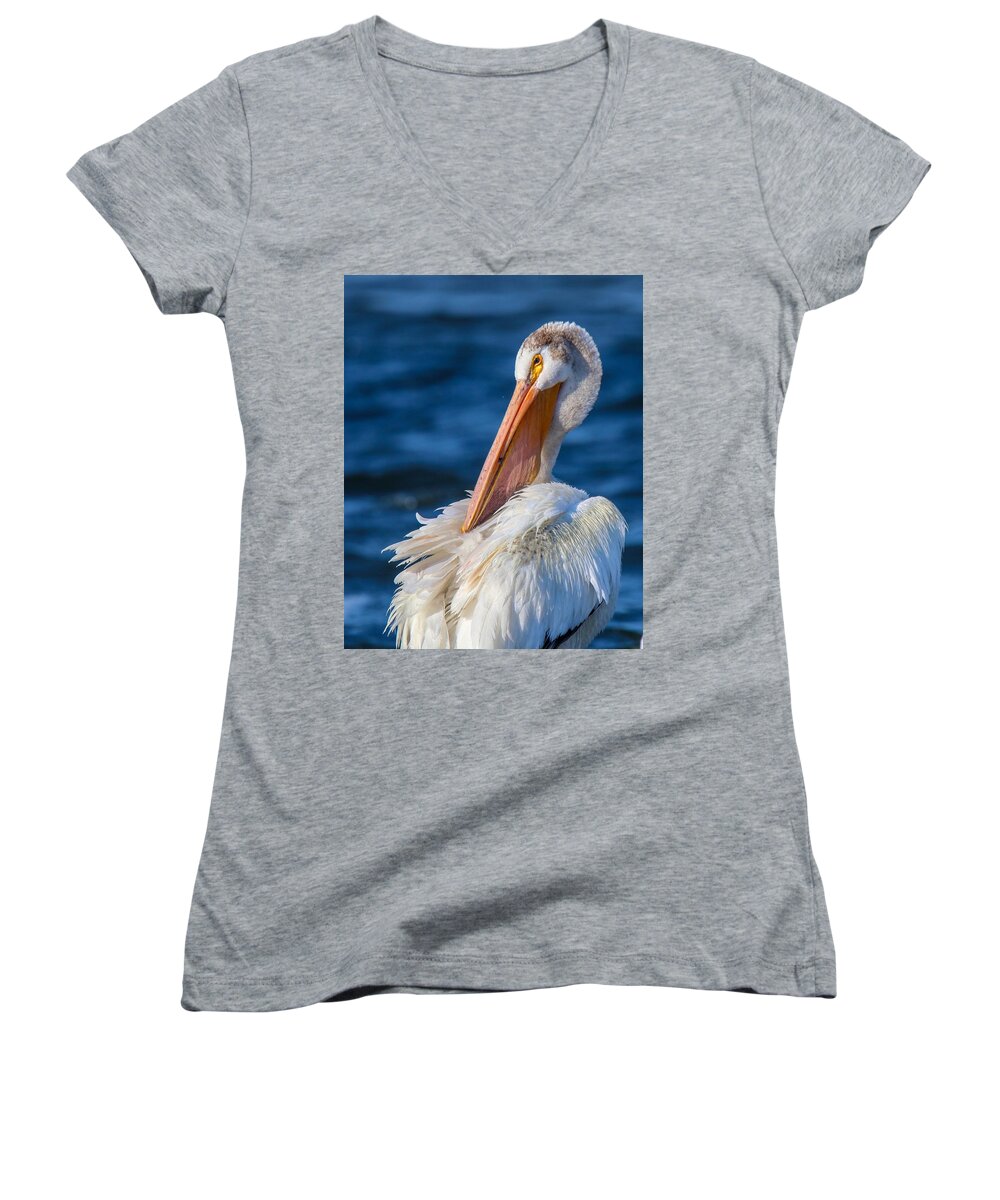 Birds Women's V-Neck featuring the photograph American White Pelican by Susan Rydberg