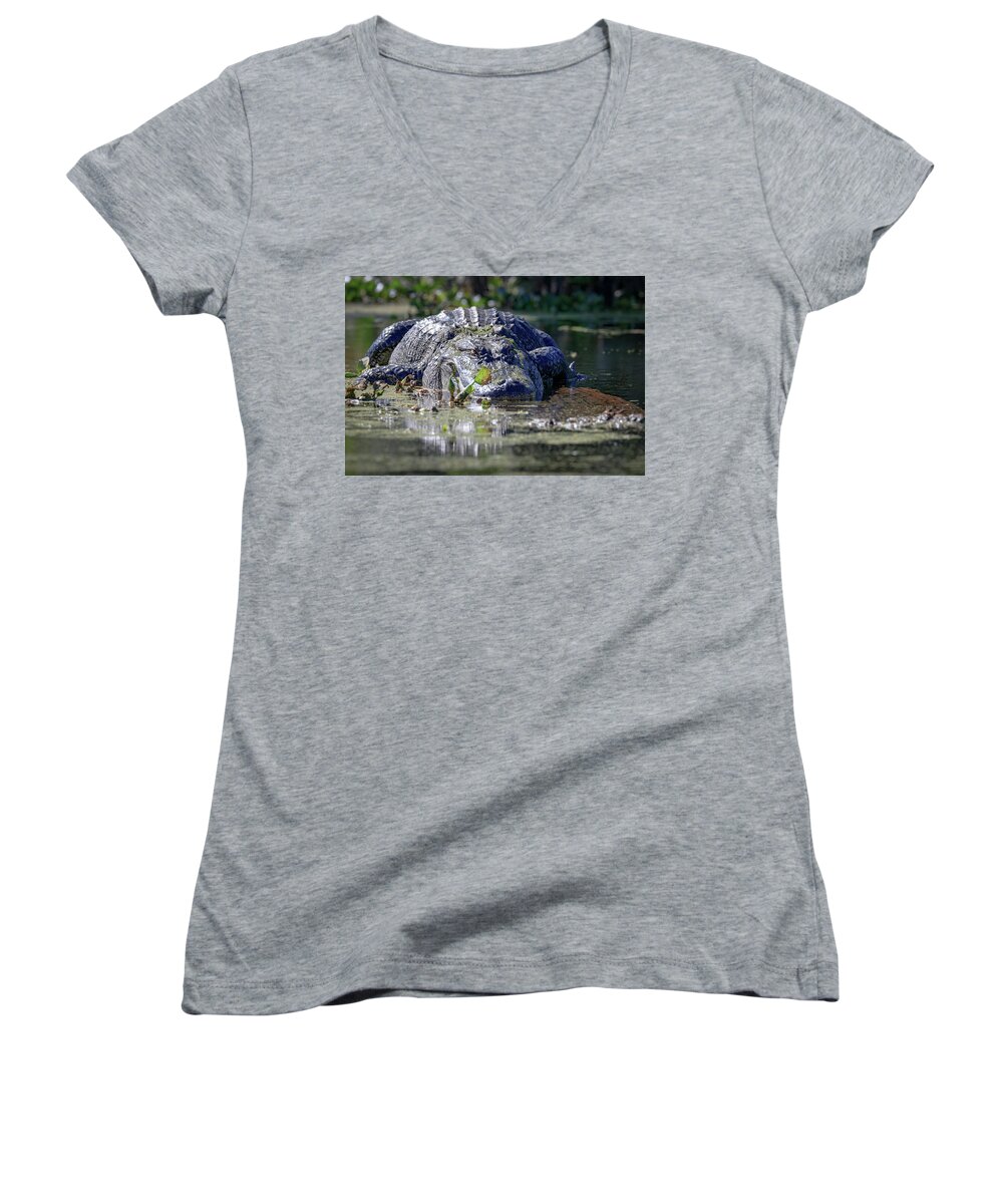 Gator Women's V-Neck featuring the photograph Beached Gator by JASawyer Imaging