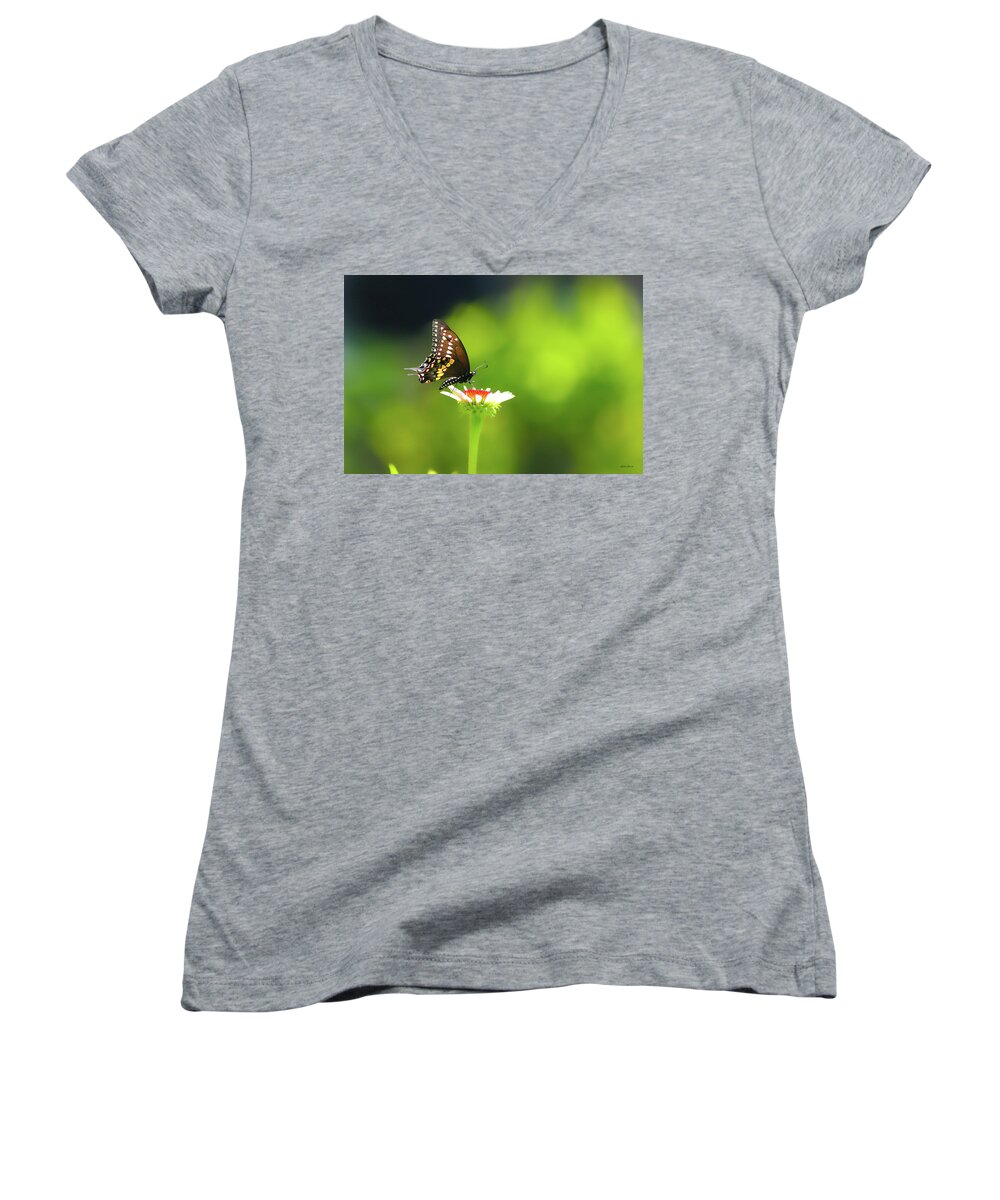 Butterfly Sunshine Women's V-Neck featuring the photograph Butterfly Sunshine by Linda Sannuti