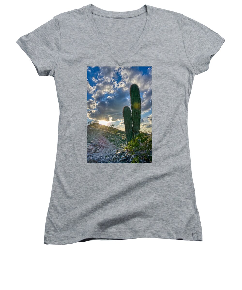 Sun Women's V-Neck featuring the photograph Cactus Portrait by Anthony Giammarino