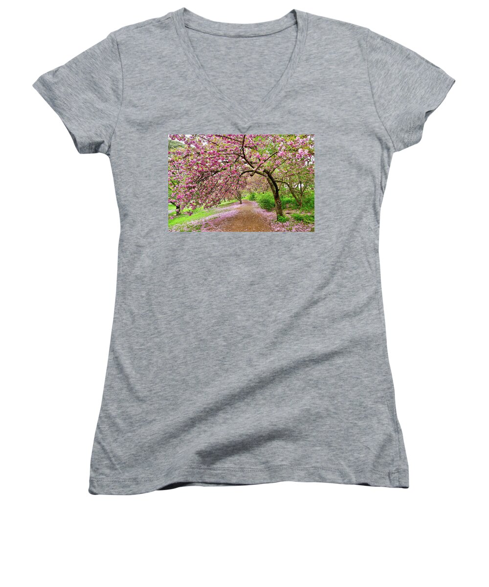 Color Photography Cherry Blossoms Trees Women's V-Neck featuring the photograph Central Park Cherry blossoms by Joan Reese