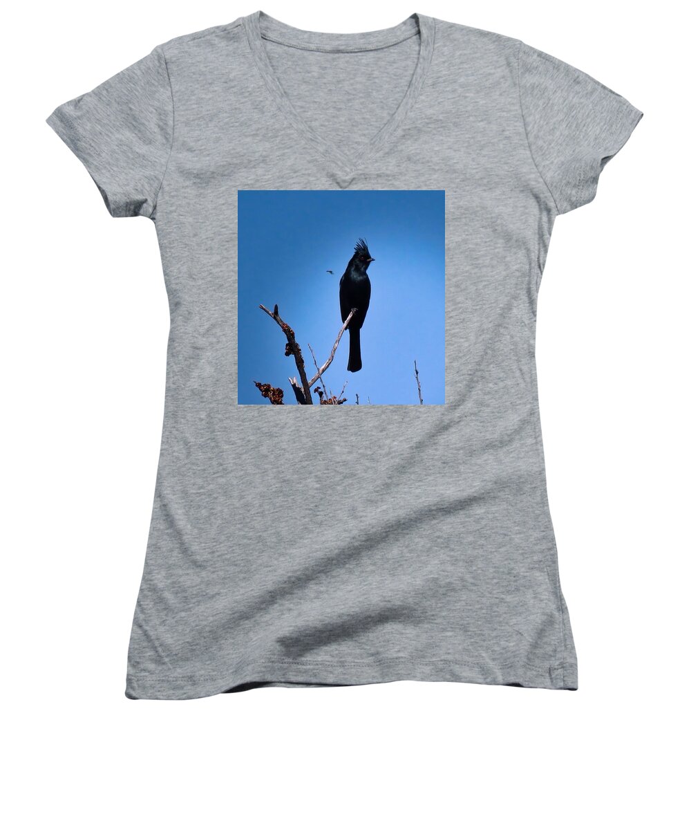 Arizona Women's V-Neck featuring the photograph Desert Phainopepla and Dragonfly by Judy Kennedy