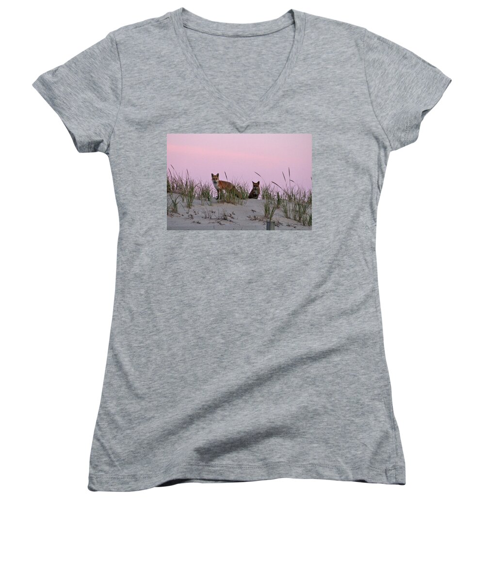 Animals Women's V-Neck featuring the photograph Dune Foxes by Robert Banach