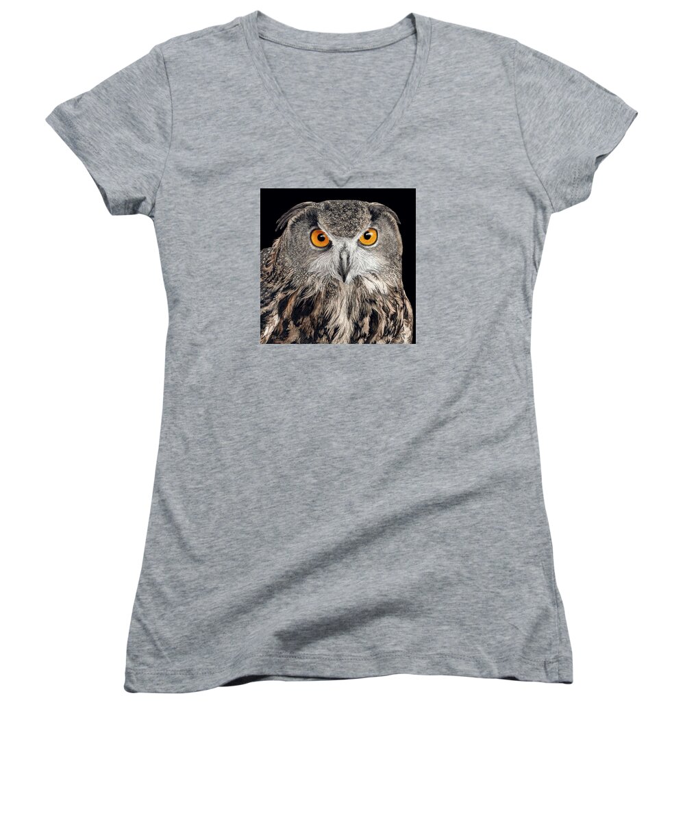 Owl Women's V-Neck featuring the drawing Eurasian Eagle Owl by Ann Ranlett
