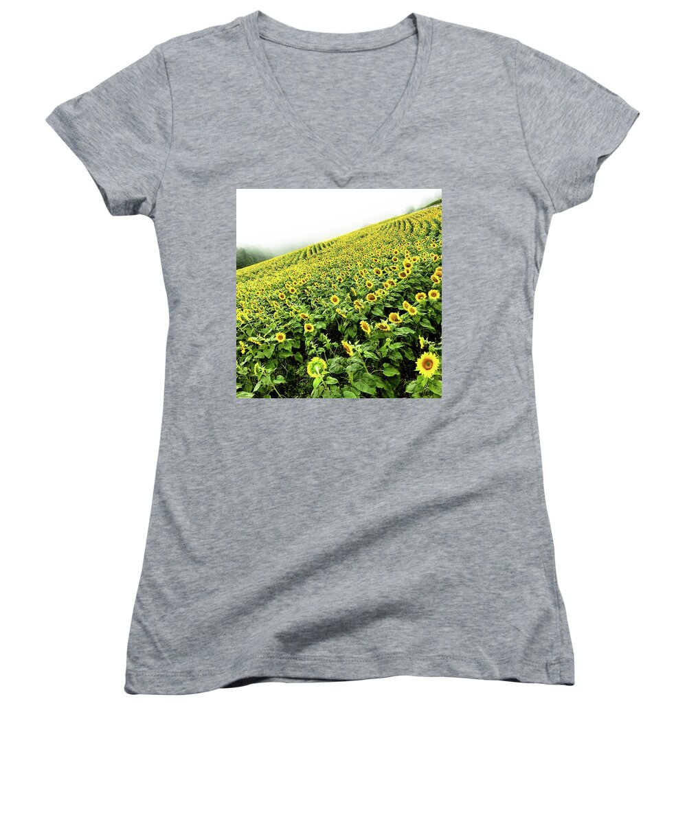 Sunflowers Women's V-Neck featuring the photograph Fields of Yellow by Shane Kelly