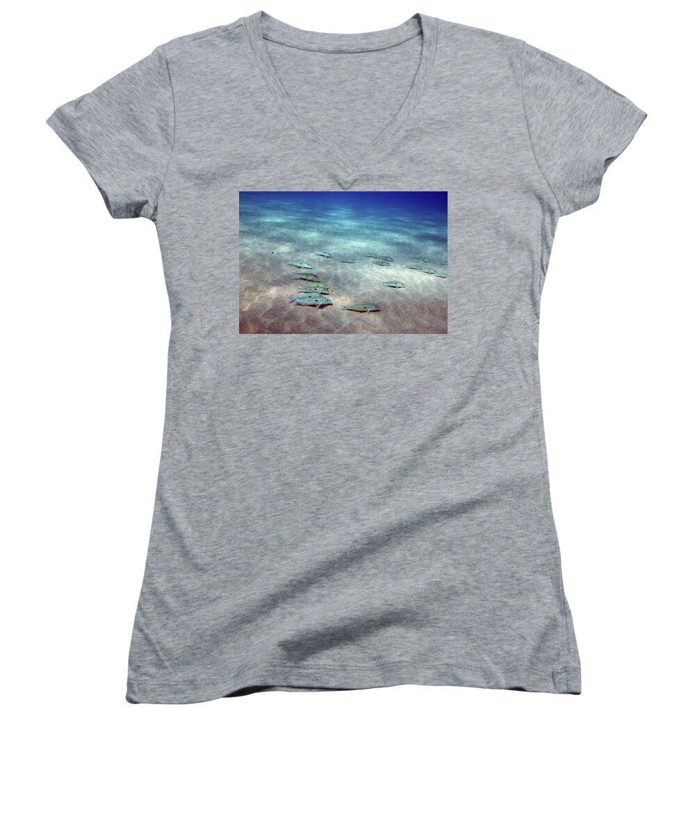 Ocean Women's V-Neck featuring the photograph Fish on the Floor by Anthony Jones