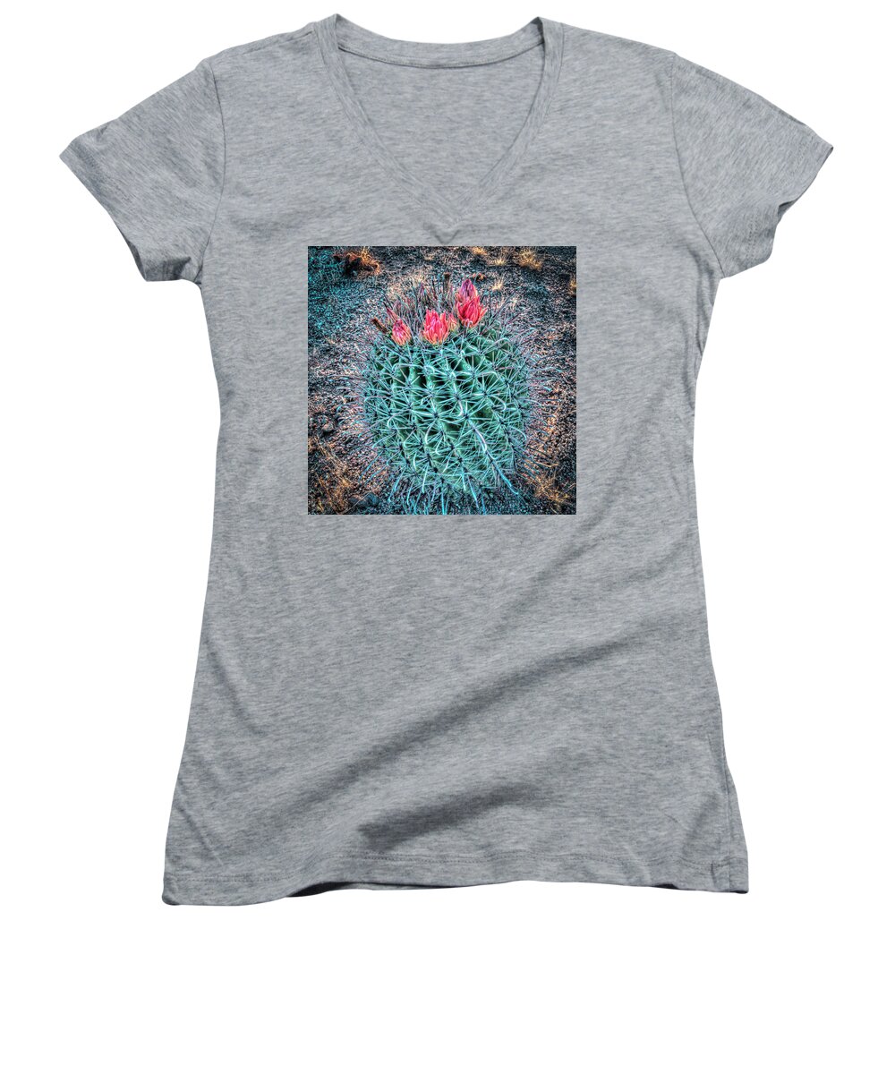 Desert Women's V-Neck featuring the photograph Fishin' Hook by Laura Hedien