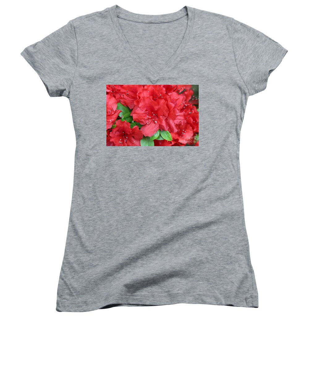 Flowers Blooming Women's V-Neck featuring the photograph Flowers Blooming by Barbra Telfer