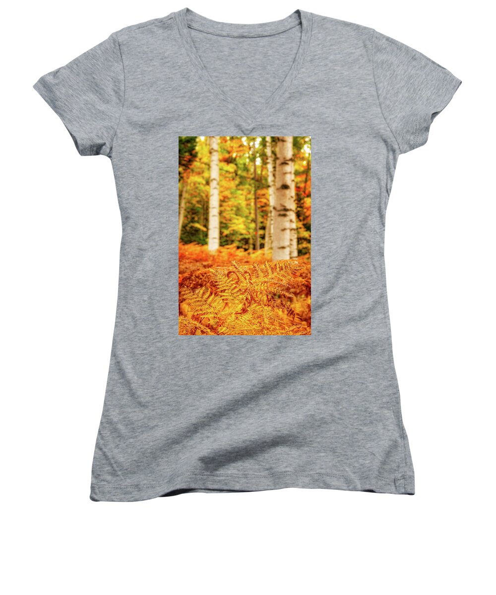 Autumn Women's V-Neck featuring the photograph Golden Ferns In The Birch Glade by Jeff Sinon