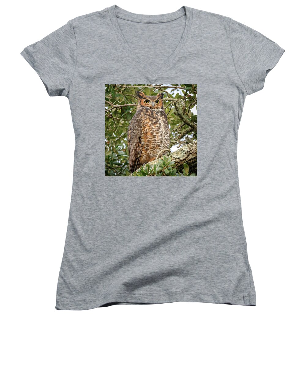 Greathornedowl Women's V-Neck featuring the photograph Great Horned Owl by JASawyer Imaging