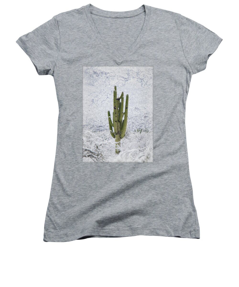 Snow Women's V-Neck featuring the photograph Green In A Sea Of White by Elaine Malott