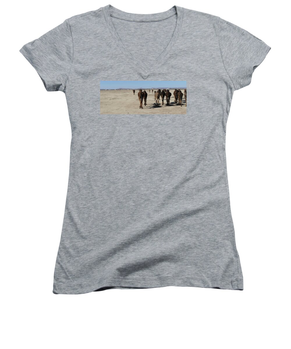 Morocco Women's V-Neck featuring the photograph Herd of camels crossing the highway near Rissani by Steve Estvanik