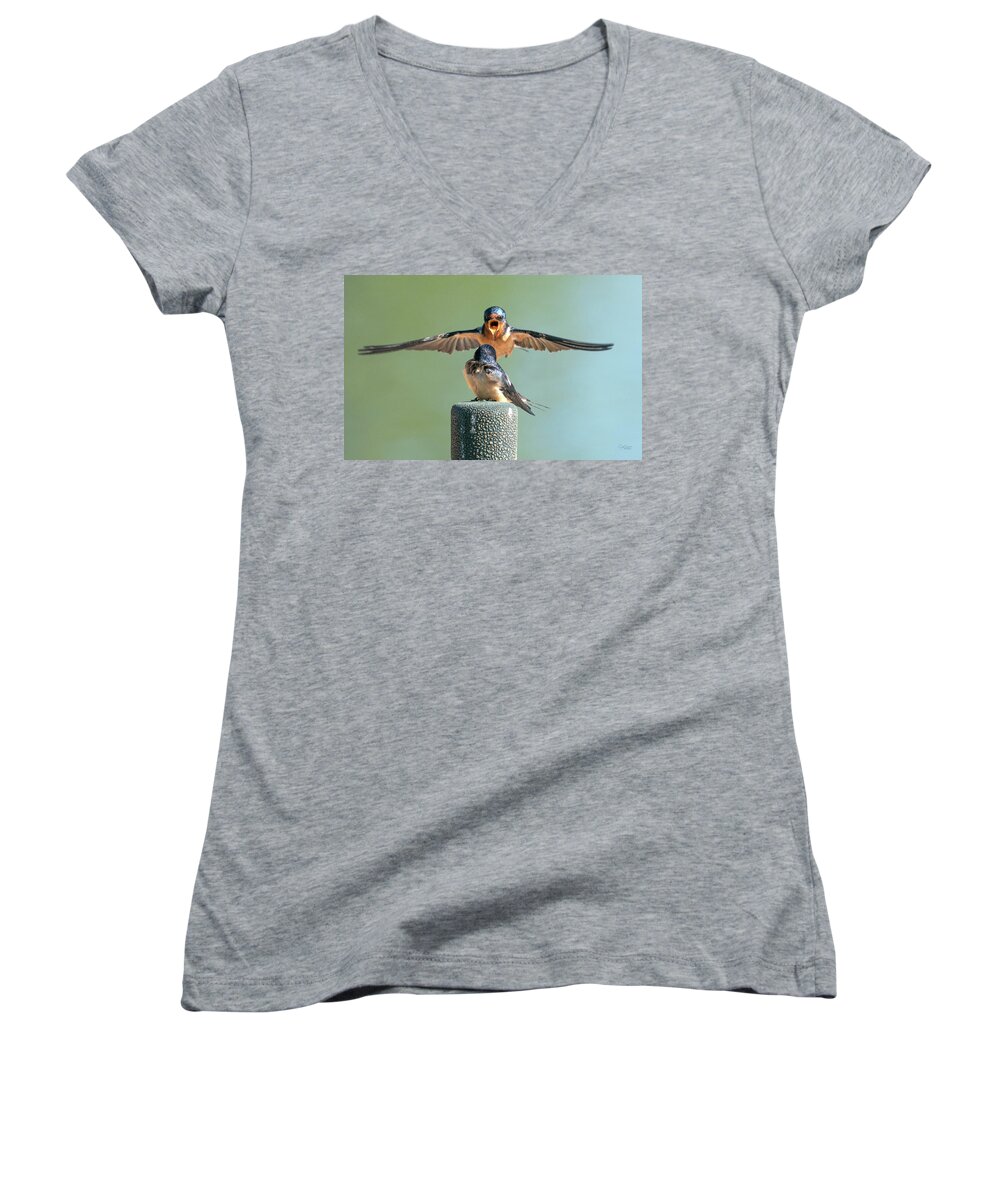 Barn Swallows Women's V-Neck featuring the photograph Hey, Babe, Let's Rock n Roll. Barn Swallows by Judi Dressler