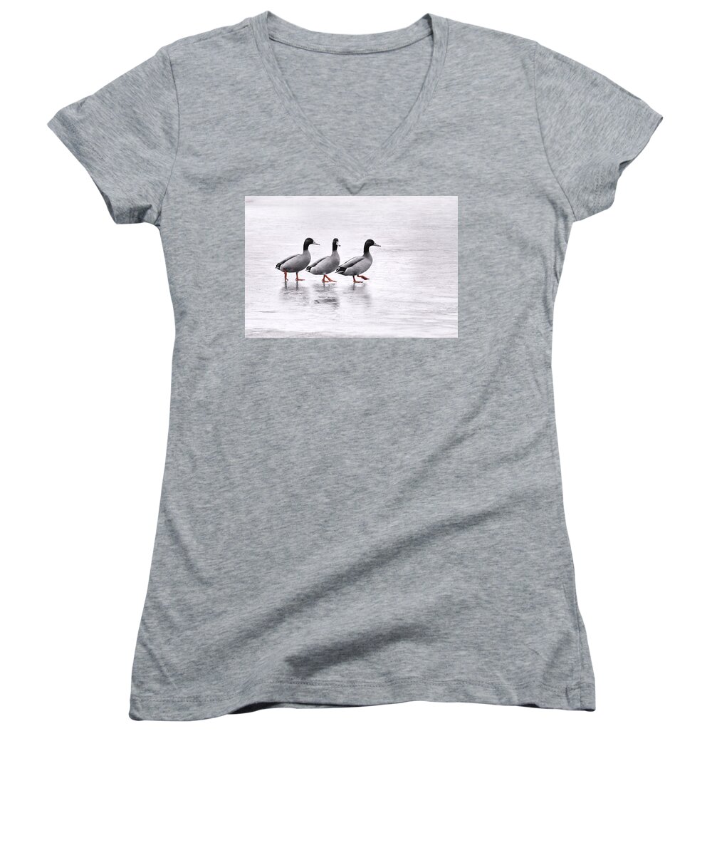 Duck Women's V-Neck featuring the photograph In Steps by Jaroslav Buna