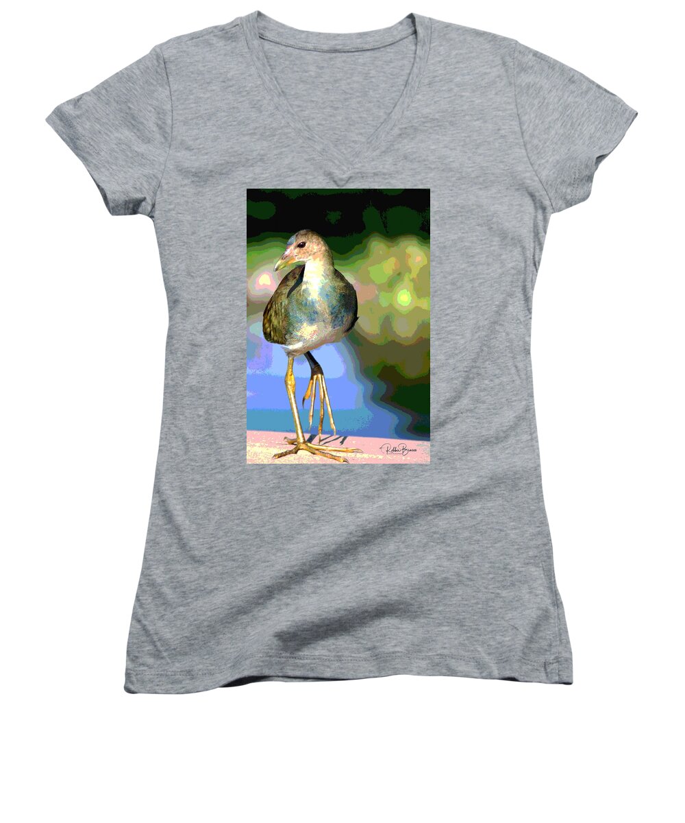 Juvenile Women's V-Neck featuring the photograph Juvenile Purple Gallinule Bird by Philip And Robbie Bracco