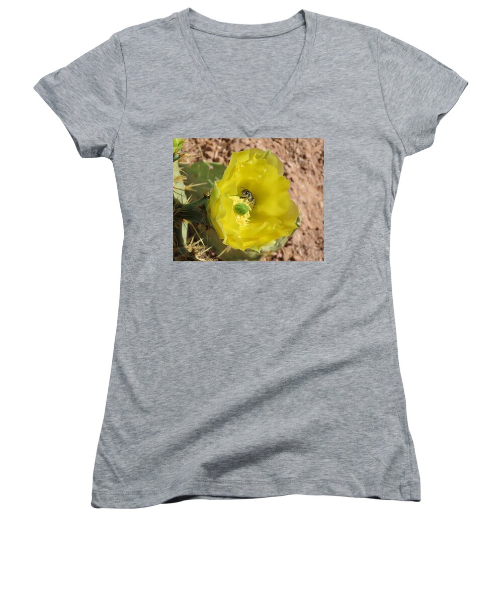 Arizona Women's V-Neck featuring the photograph Leaf-Cutter Bee Bathing in Gold by Judy Kennedy