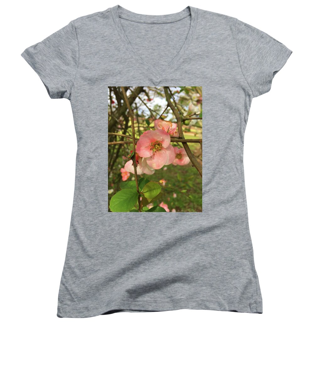 Flowers Women's V-Neck featuring the photograph Life Goes On by Matthew Seufer
