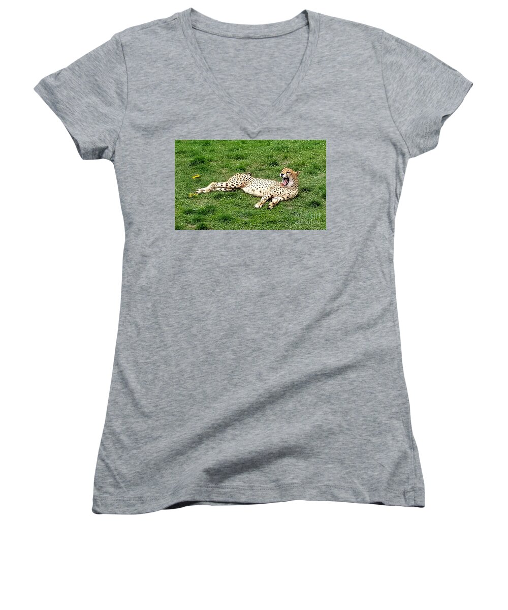 Sea Women's V-Neck featuring the photograph Lounging Cheetah by Michael Graham