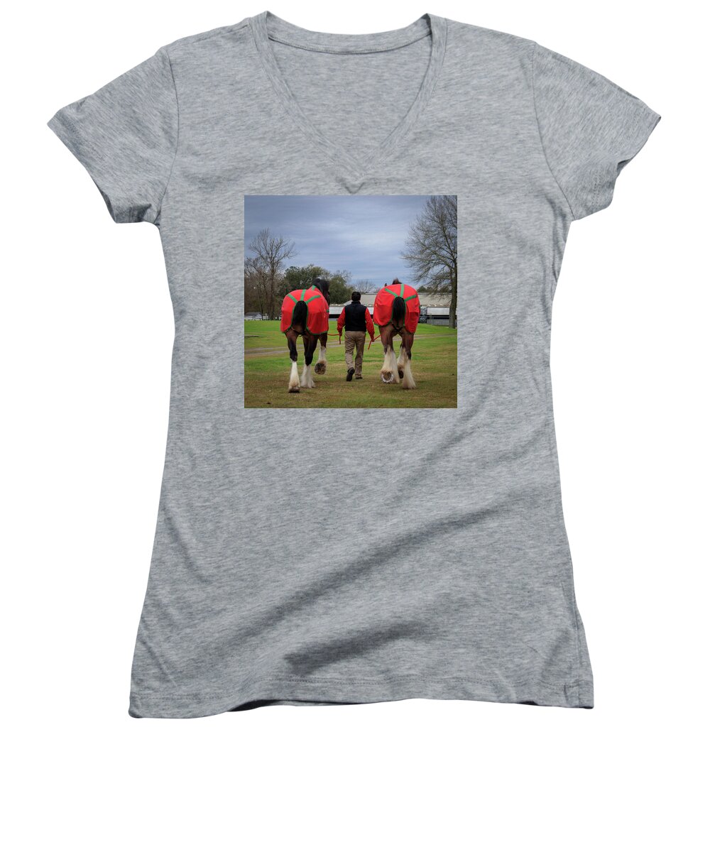 Horse Women's V-Neck featuring the photograph Morning Stroll by JASawyer Imaging