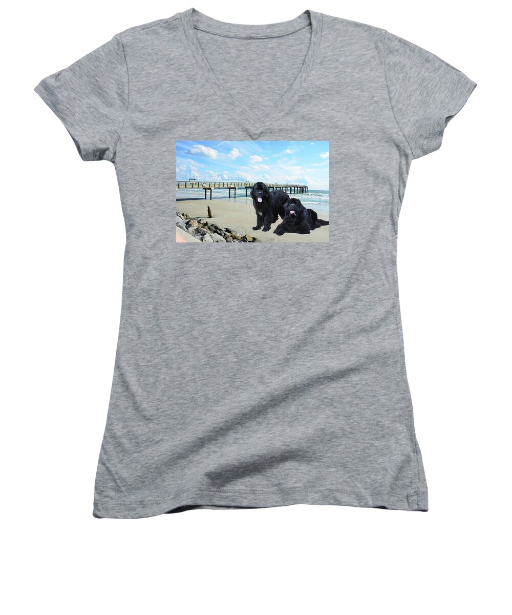 Newfies Women's V-Neck featuring the photograph Newfies On St Augustine Beach by Philip And Robbie Bracco