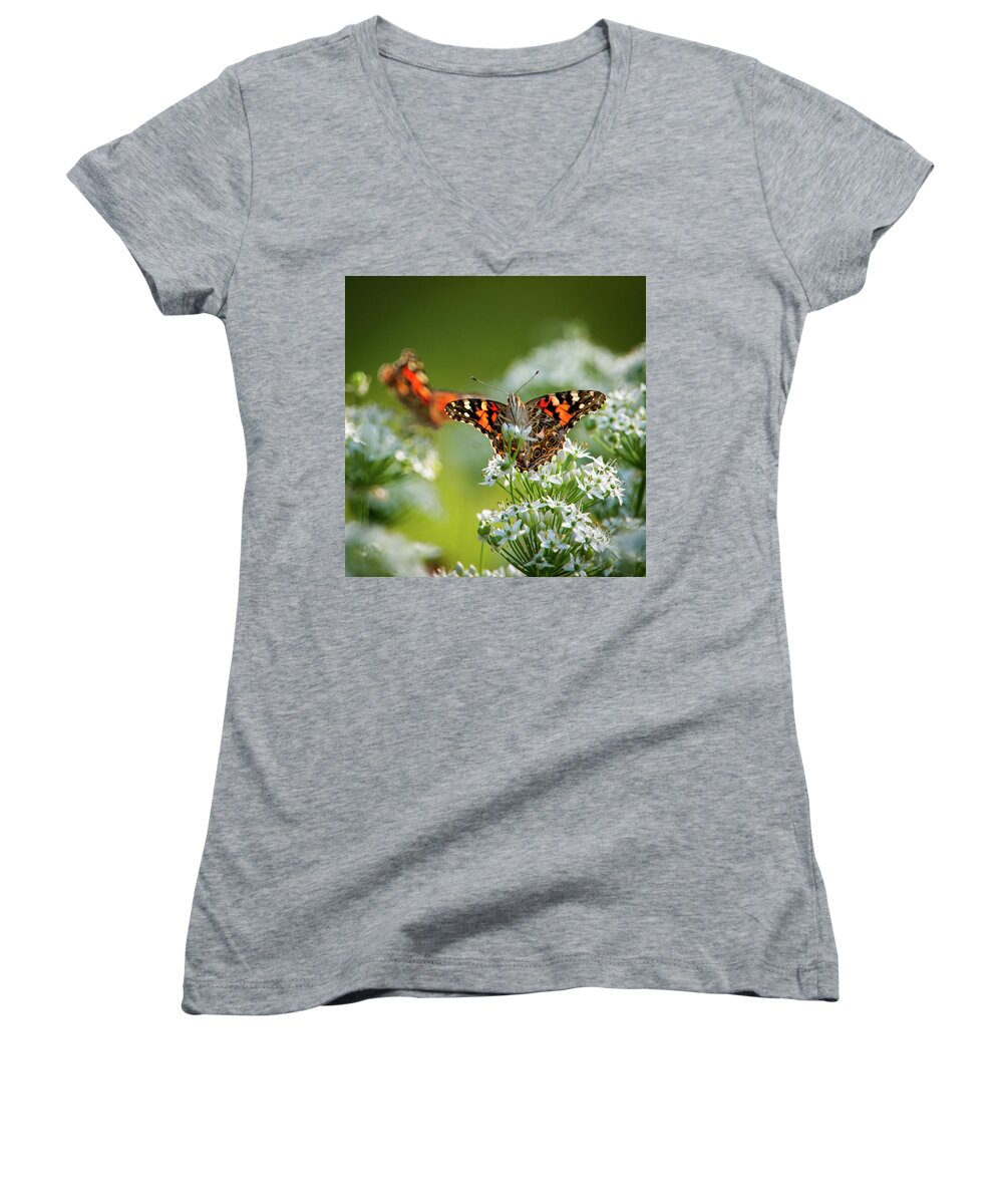 Painted Lady Women's V-Neck featuring the photograph Painted Ladies by Jeff Phillippi