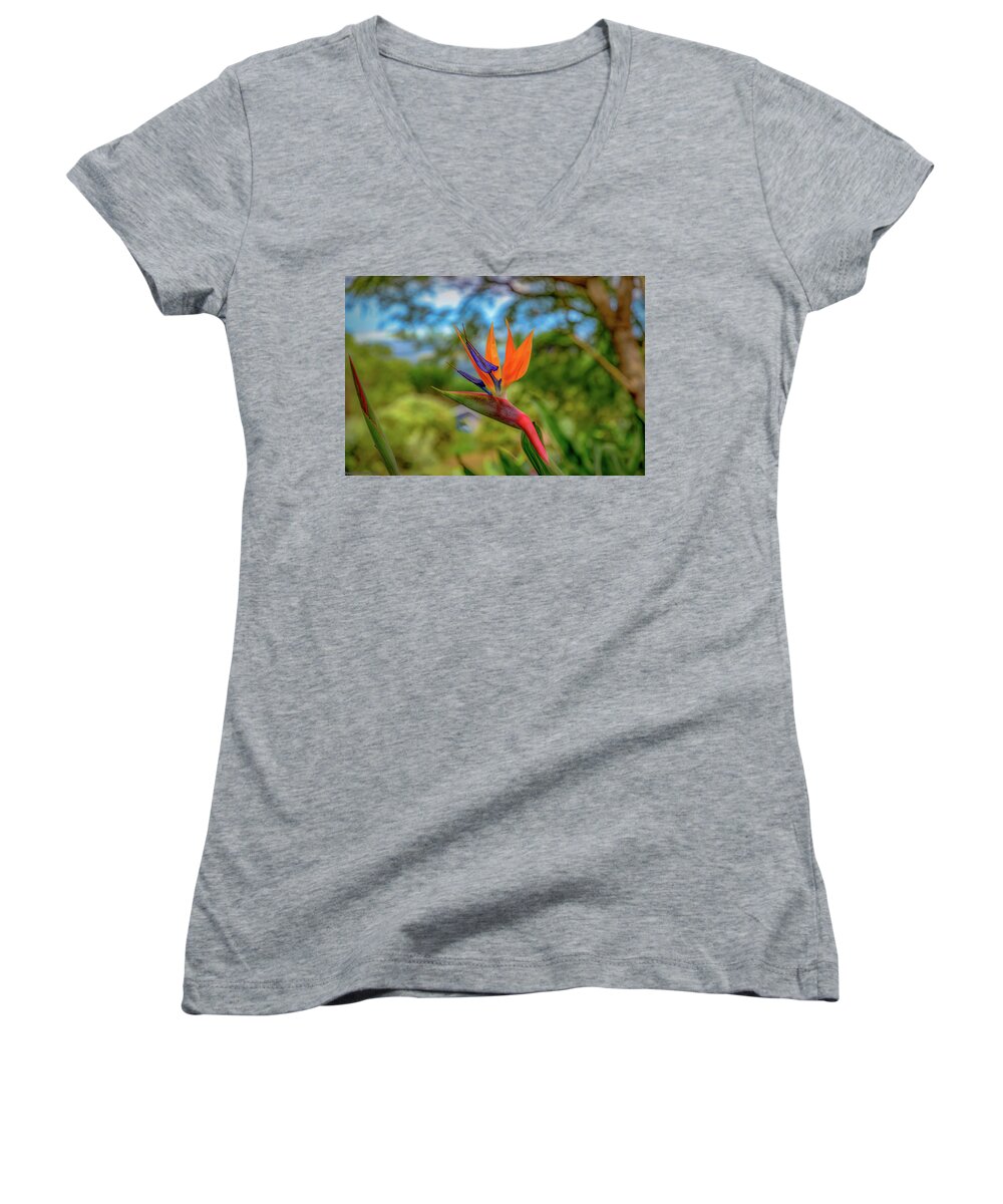 Hawaii Women's V-Neck featuring the photograph Paradise Red Bird by G Lamar Yancy
