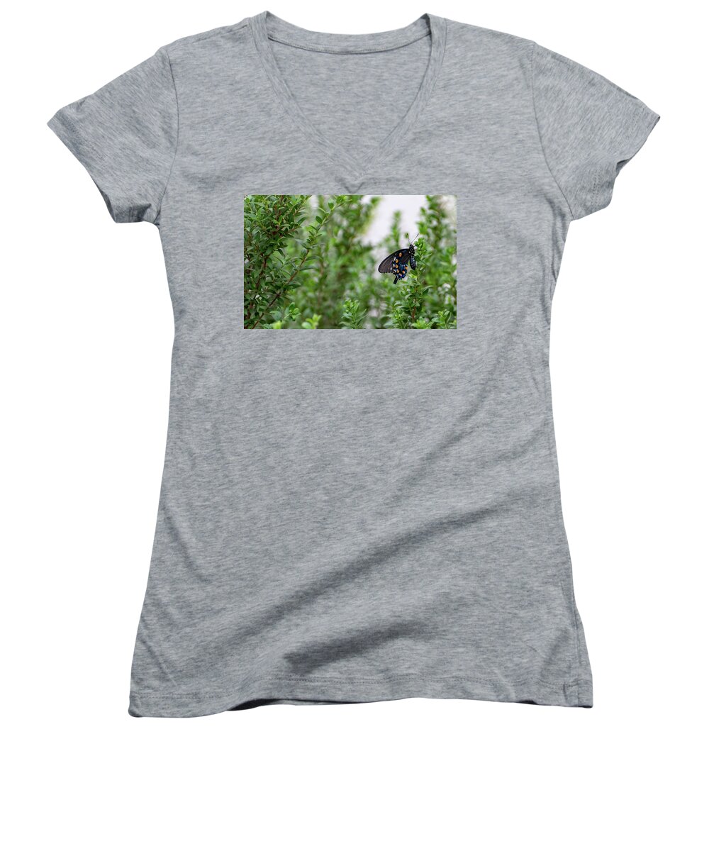 Butterfly Women's V-Neck featuring the photograph Pipevine Swallowtail by Douglas Killourie