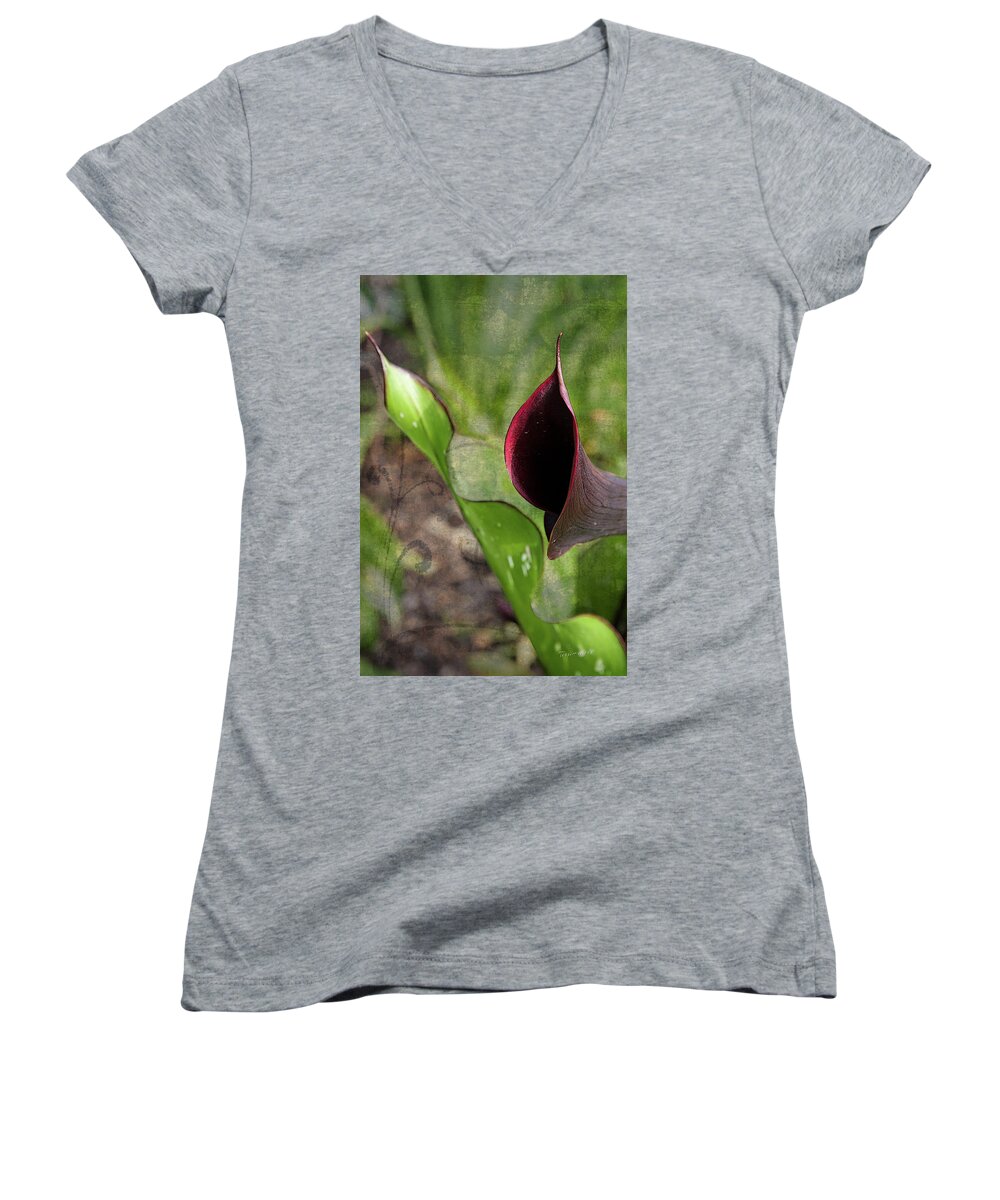 Calla Women's V-Neck featuring the photograph Poetry In Motion by Terri Harper