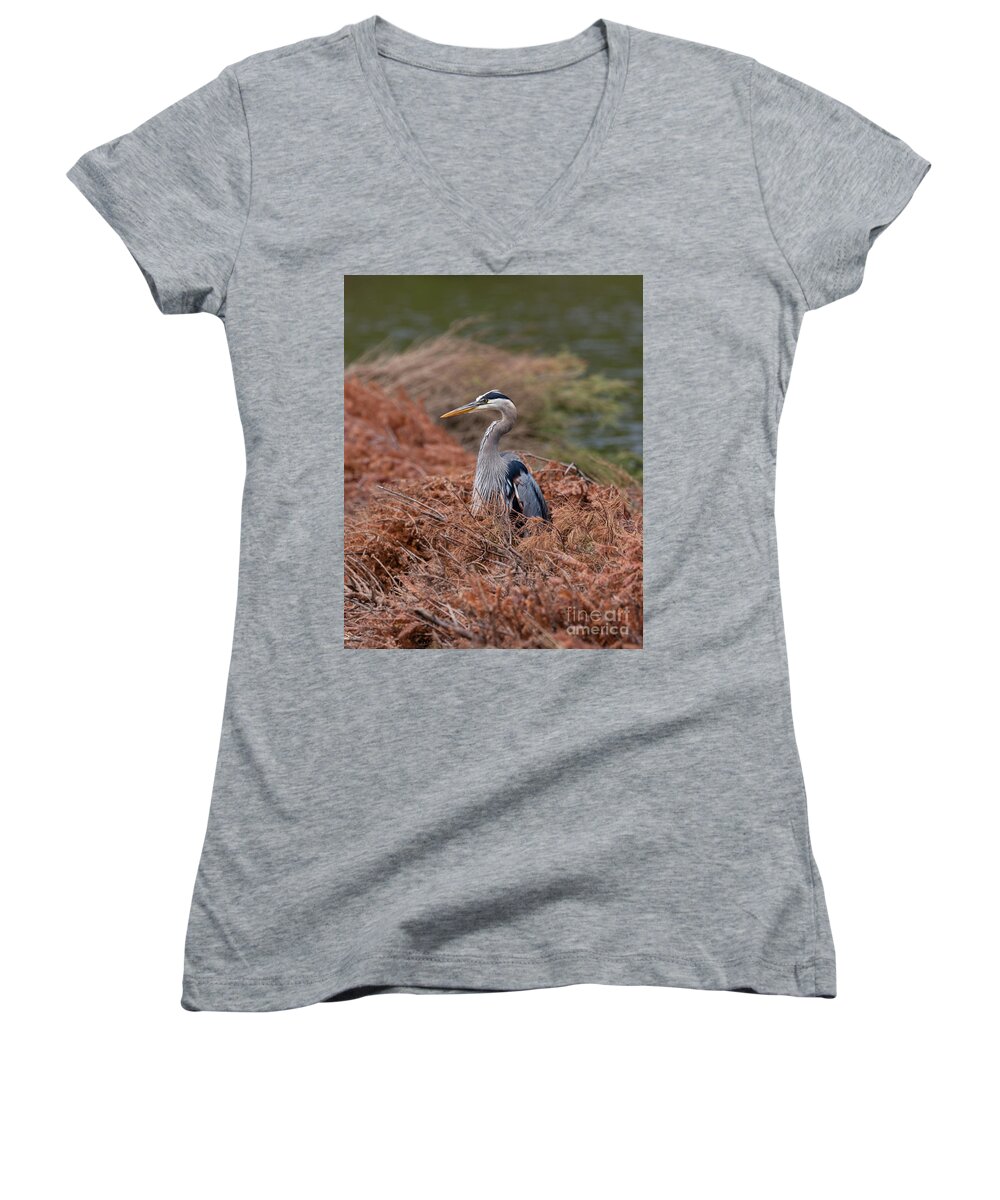 Photography Women's V-Neck featuring the photograph Pretty Blue by Alma Danison