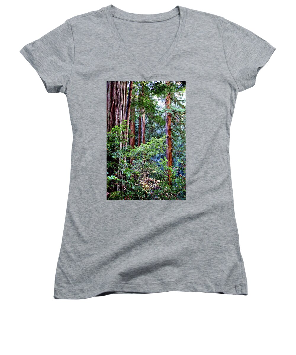 Redwoods Women's V-Neck featuring the photograph Samuel Taylor Redwoods 1 by David Armentrout