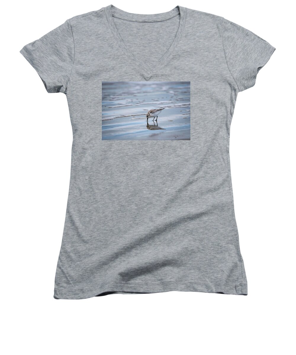 Bird Women's V-Neck featuring the photograph Sanderling Foraging by Jeff Phillippi