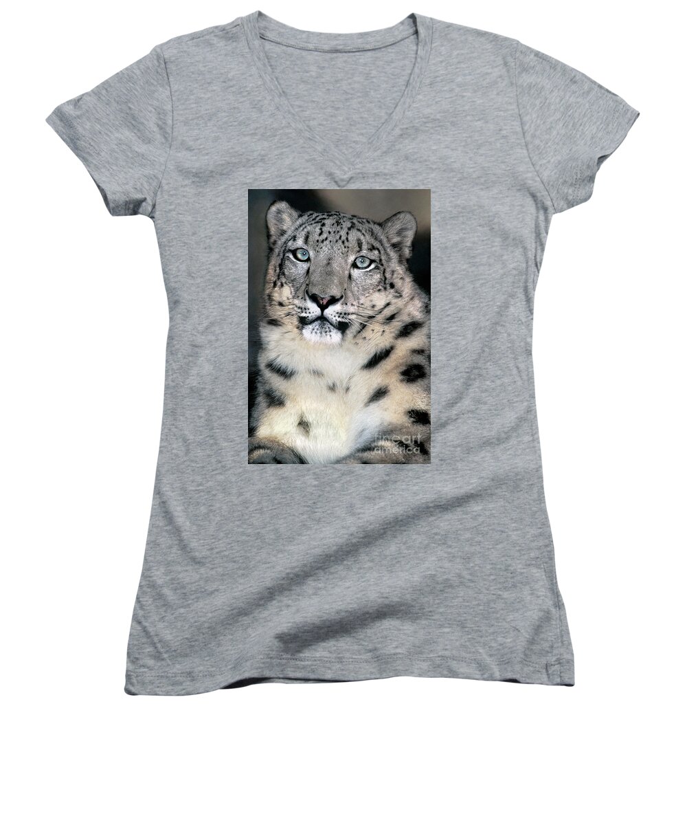Snow Leopard Women's V-Neck featuring the photograph Snow Leopard Portrait Endangered Species Wildlife Rescue by Dave Welling