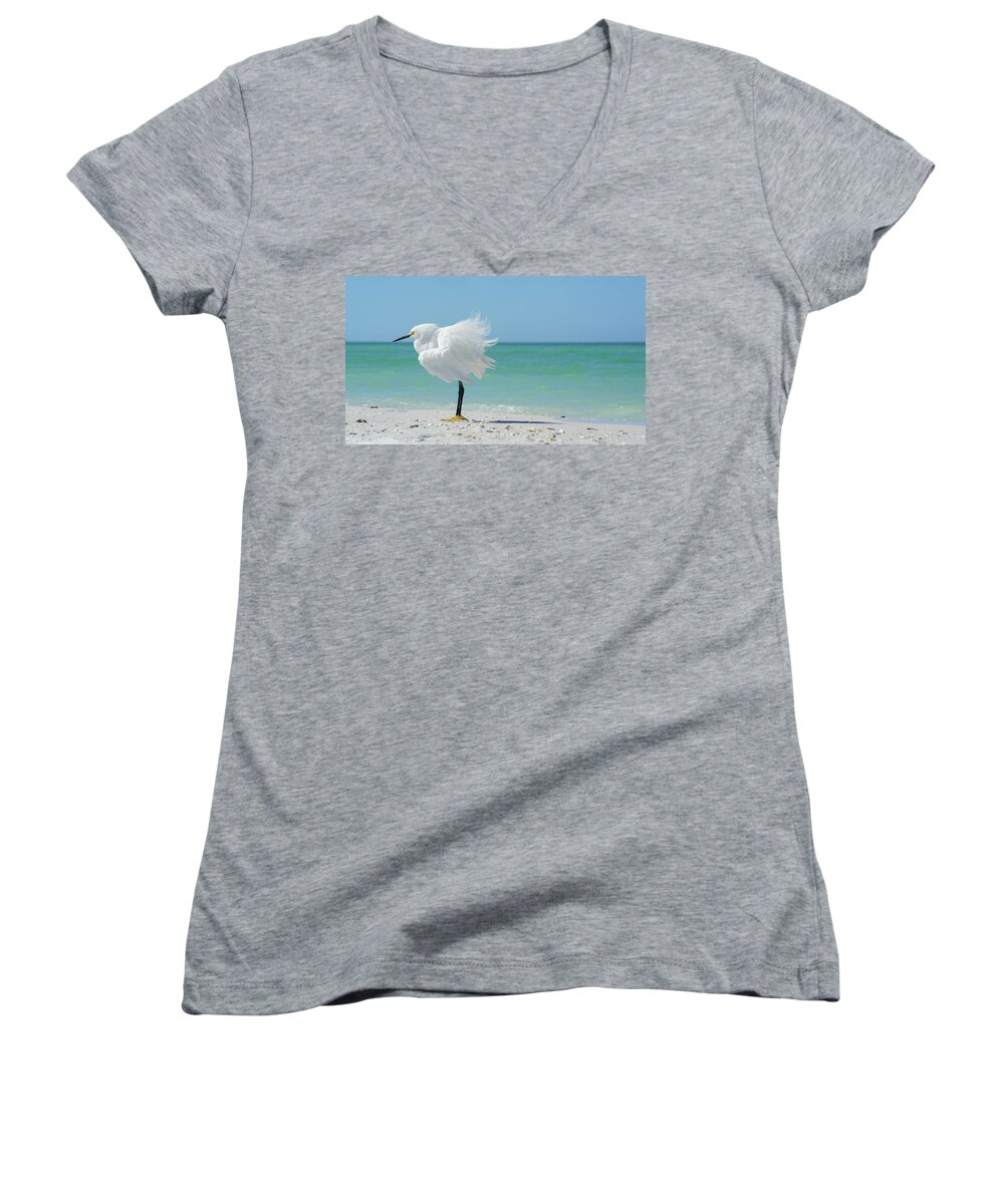 Snowy Egret Women's V-Neck featuring the photograph Snow on marco by Joey Waves