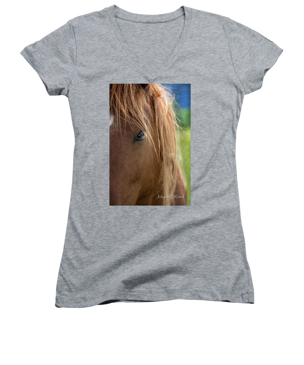  Women's V-Neck featuring the photograph Soul by Jolynn Reed