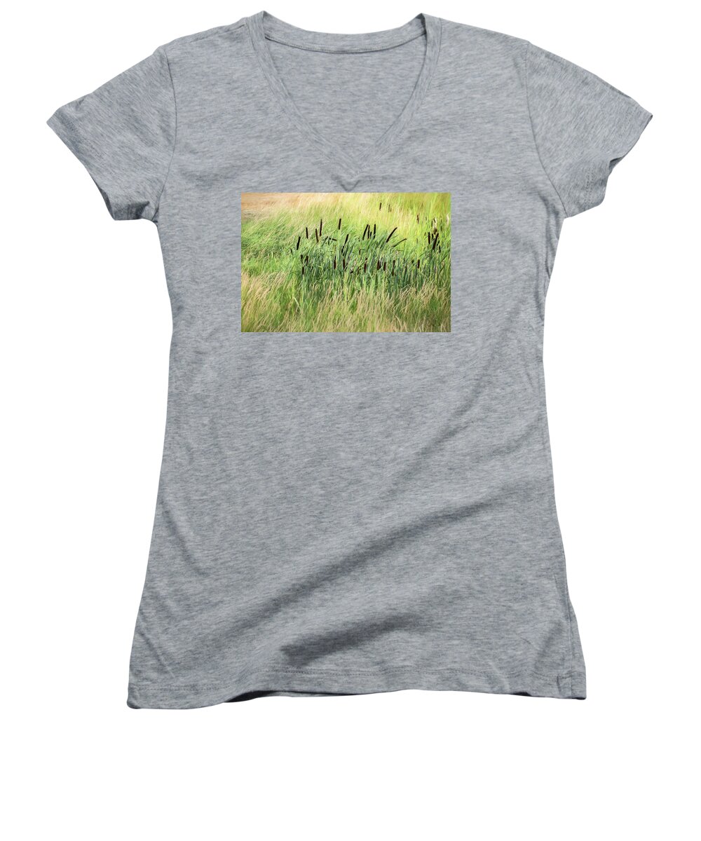 Summer Women's V-Neck featuring the photograph Summer Cattails in Field of Grass - by Julie Weber