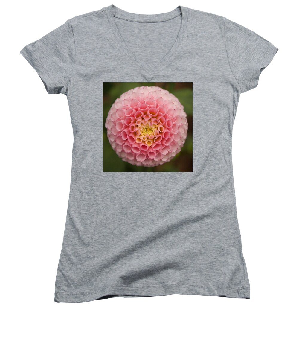 Symmetry Women's V-Neck featuring the photograph Symmetrical Dahlia by Brian Eberly