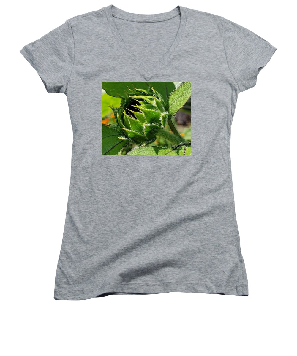 Flower Women's V-Neck featuring the photograph The Beginning by Chad and Stacey Hall