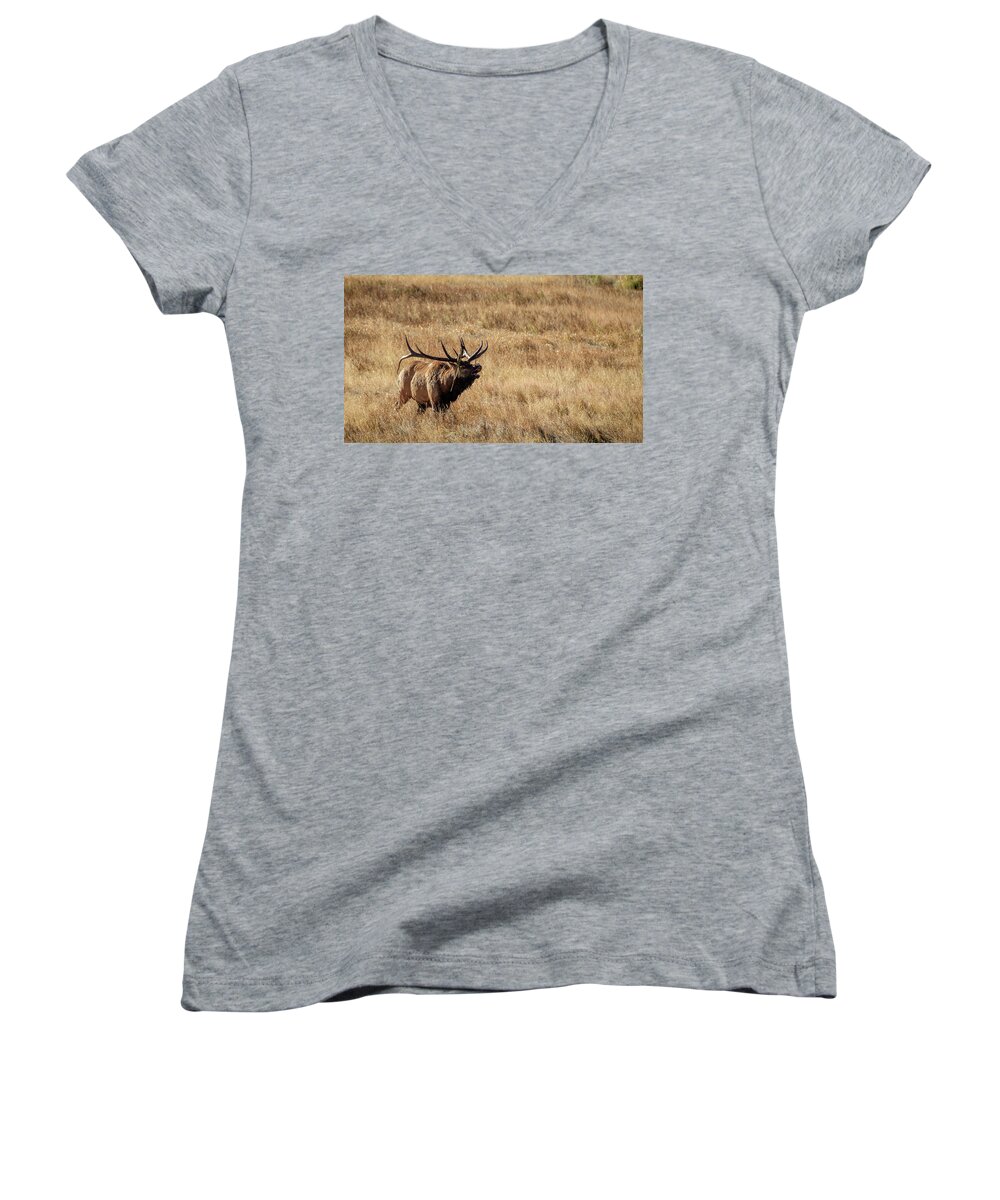 Aspens Women's V-Neck featuring the photograph The Bugler by Johnny Boyd