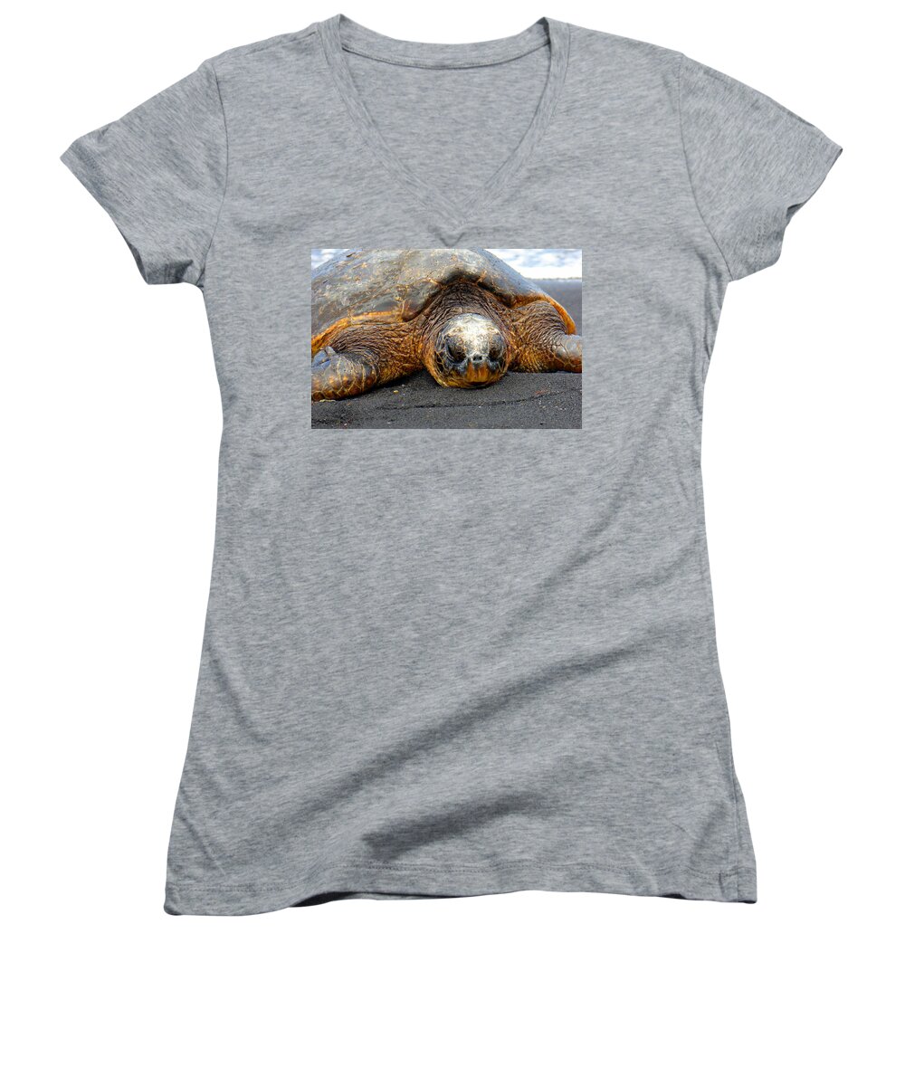 Hawaii Women's V-Neck featuring the photograph Turtle Rest Stop by John Bauer
