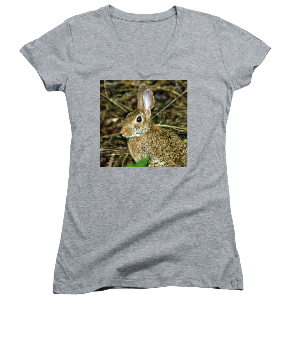 Wild Women's V-Neck featuring the photograph What's Up Doc by Michael Frank