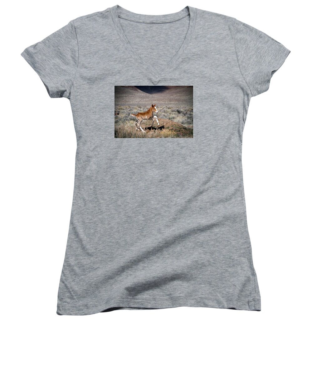 Nevada Women's V-Neck featuring the photograph Wild baby Paint colt running by Waterdancer