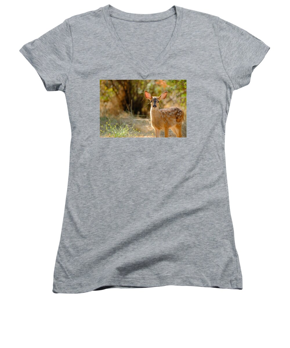 Animal Women's V-Neck featuring the photograph Curious #1 by Jessica Myscofski
