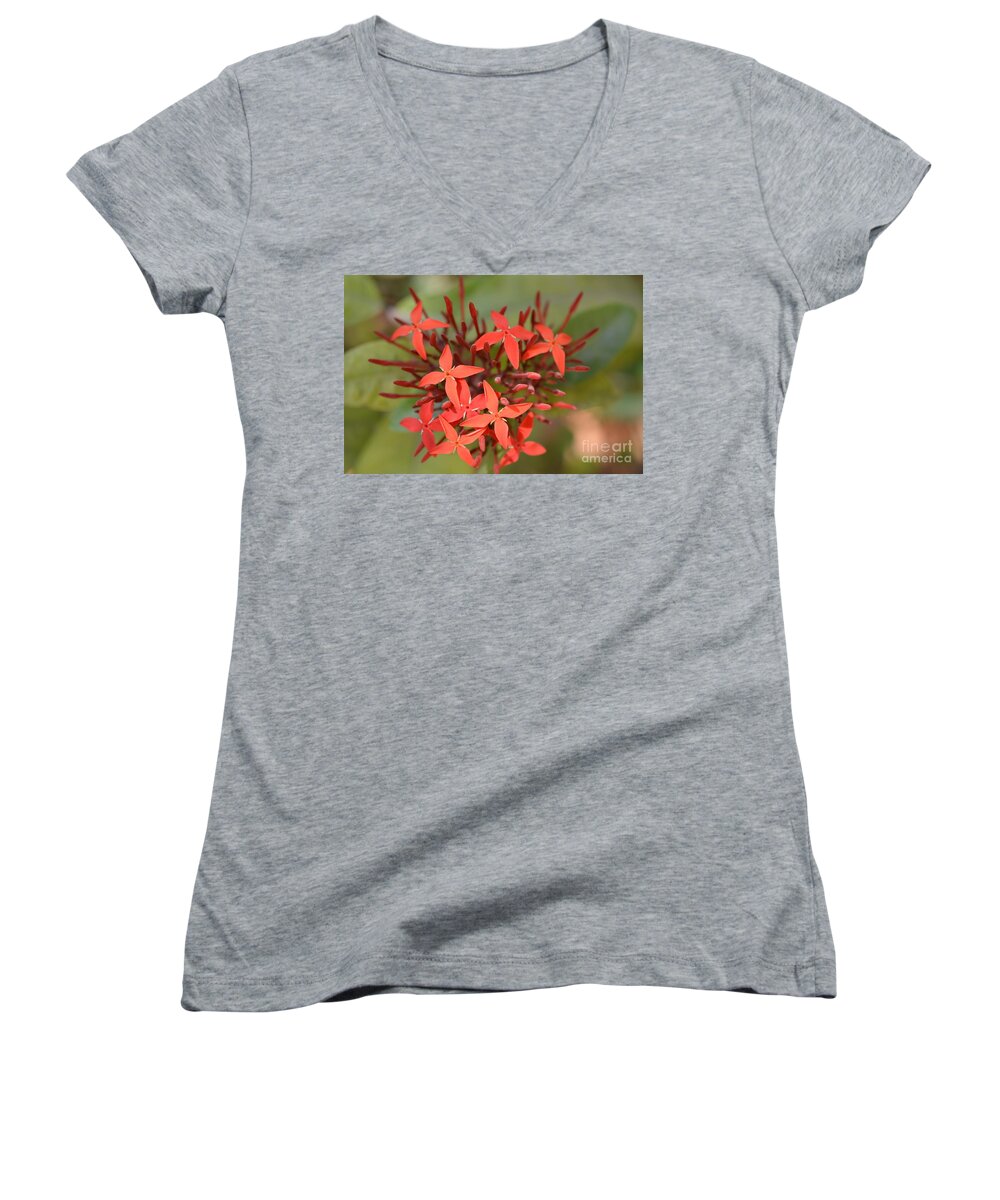 Tropical Plant Women's V-Neck featuring the photograph Flame of the Woods #1 by Mini Arora