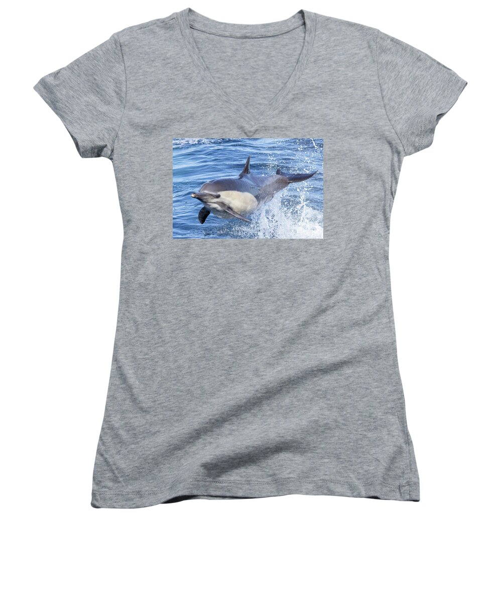  Women's V-Neck featuring the photograph Flying Dolphin #2 by Loriannah Hespe
