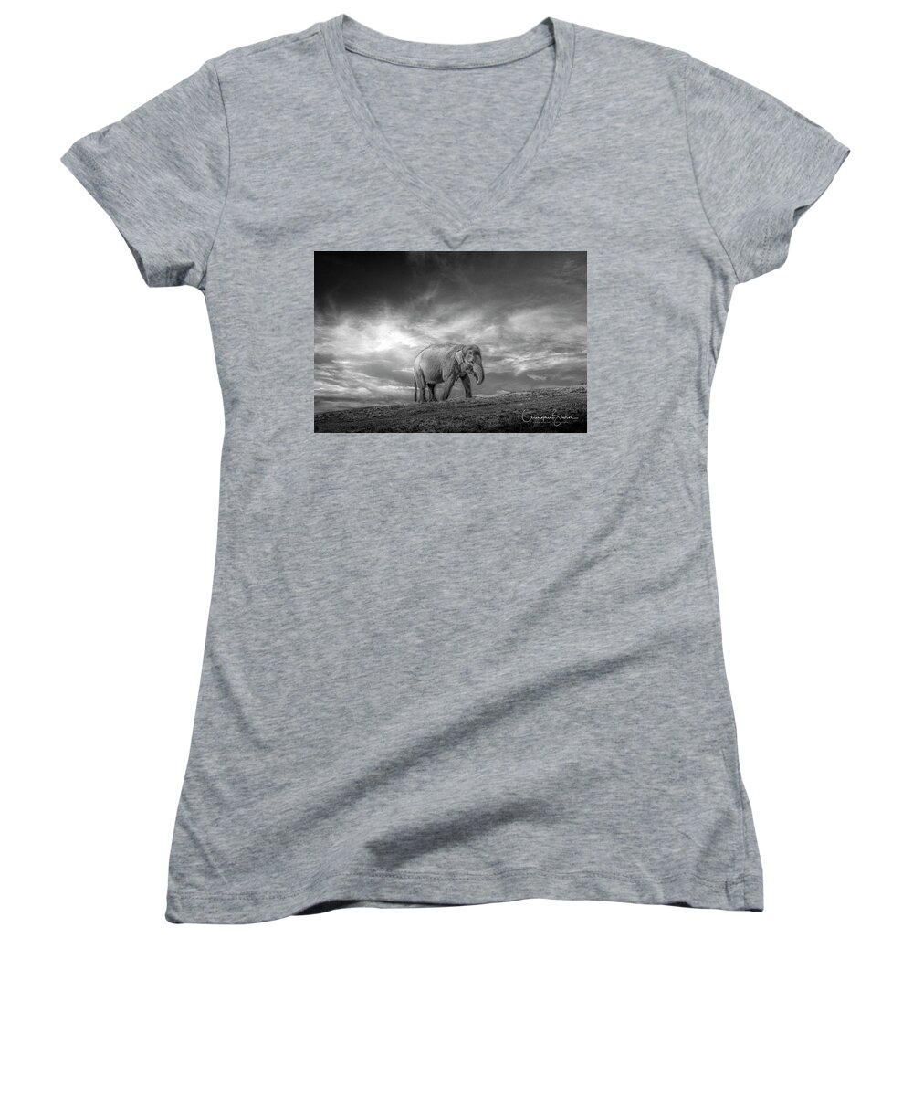 Elephant Women's V-Neck featuring the photograph Never Forget #1 by Chris Boulton
