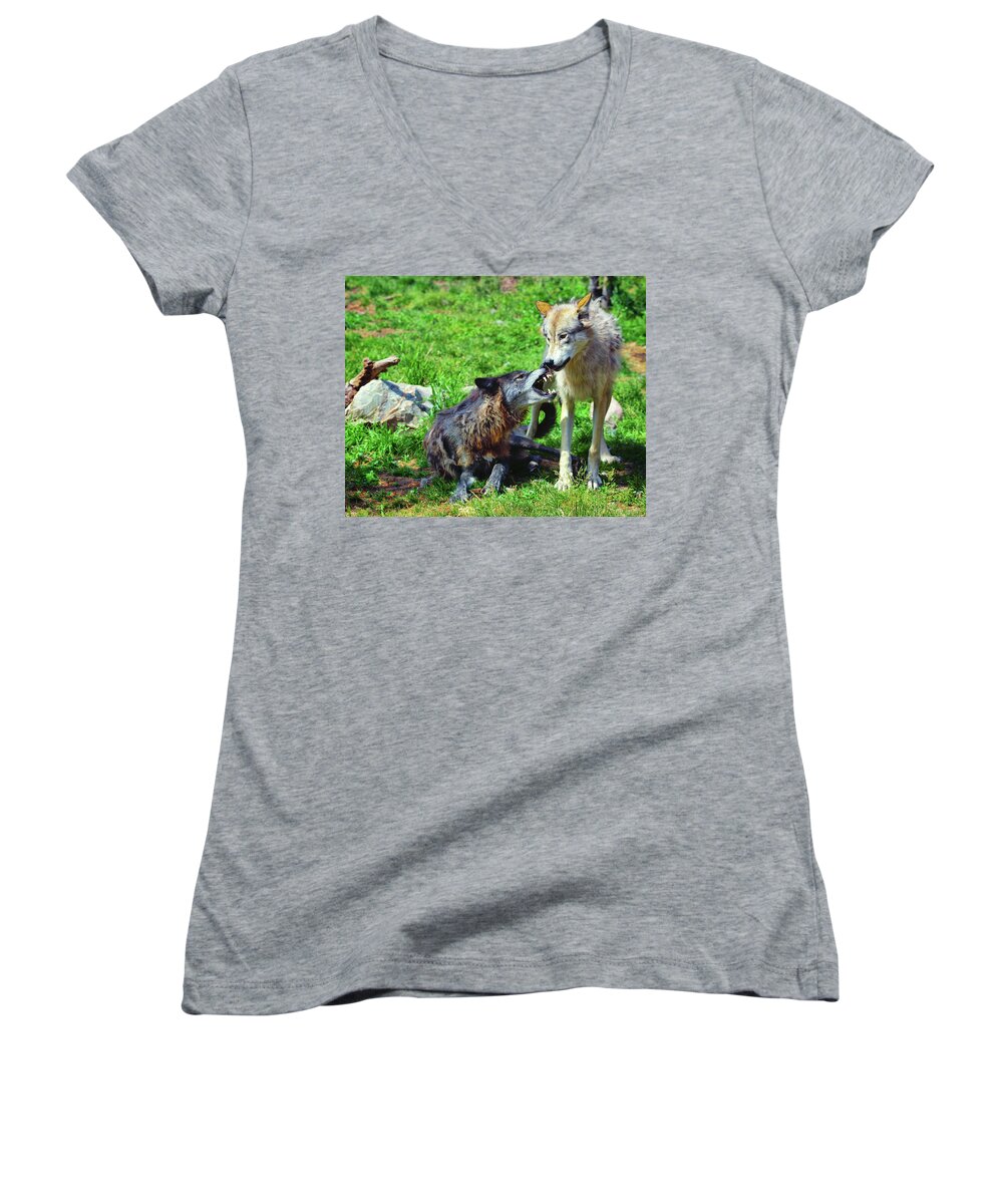 Wolves Women's V-Neck featuring the photograph Play Time #1 by Greg Norrell