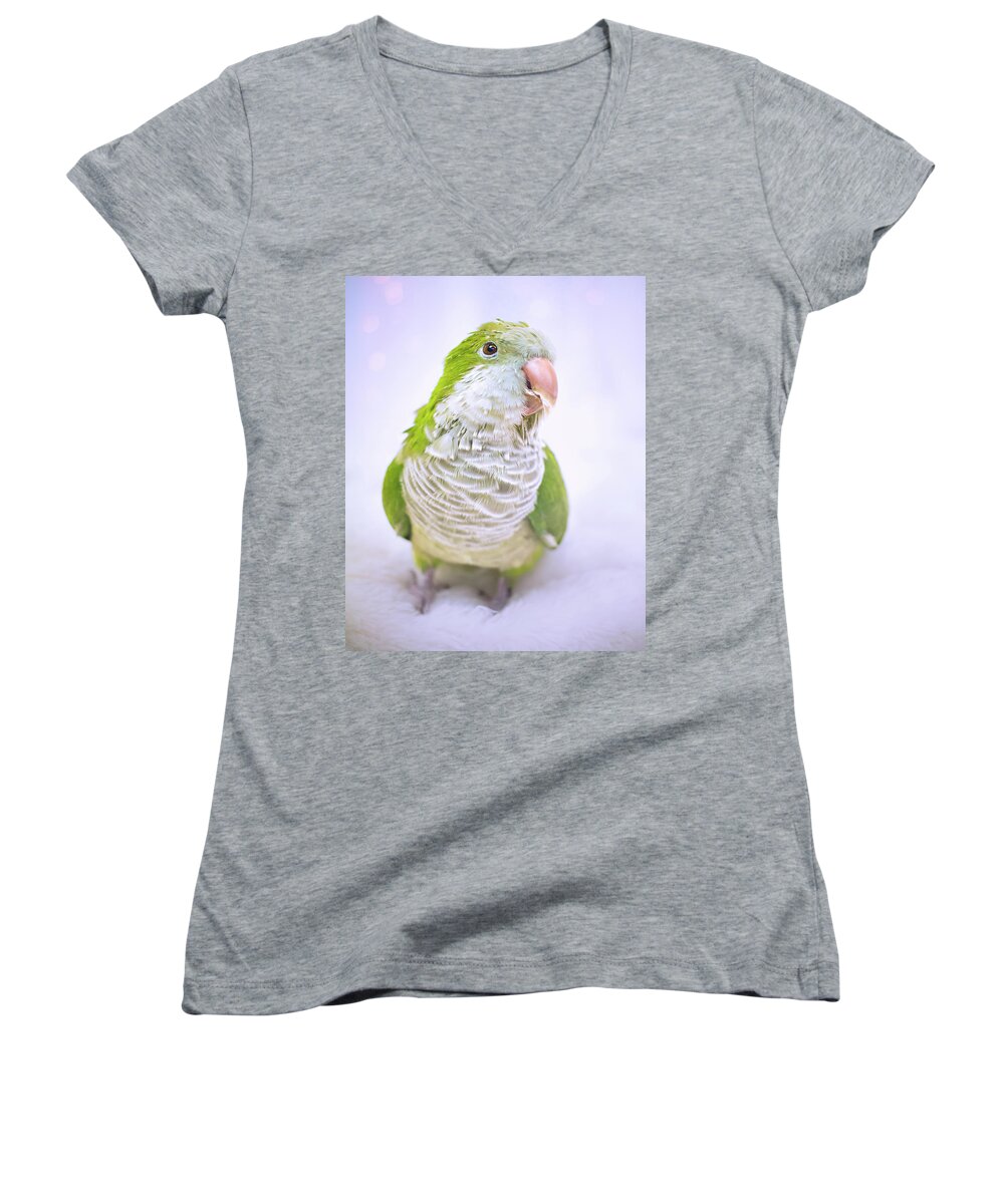 Quaker Women's V-Neck featuring the photograph Poopsie #1 by Jeanette Fellows