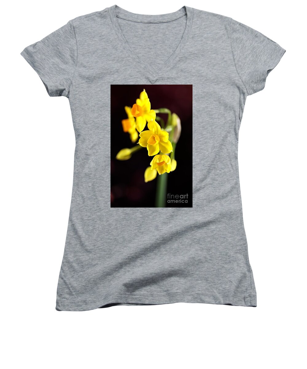 Daffodil Women's V-Neck featuring the photograph Jonquil #2 by Joy Watson