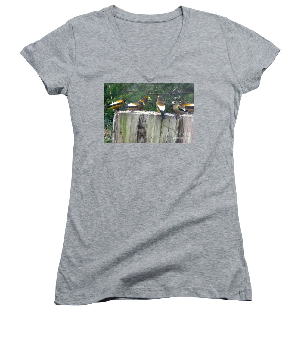 Evening Grosbeak Women's V-Neck featuring the photograph The group #2 by Marie Neder