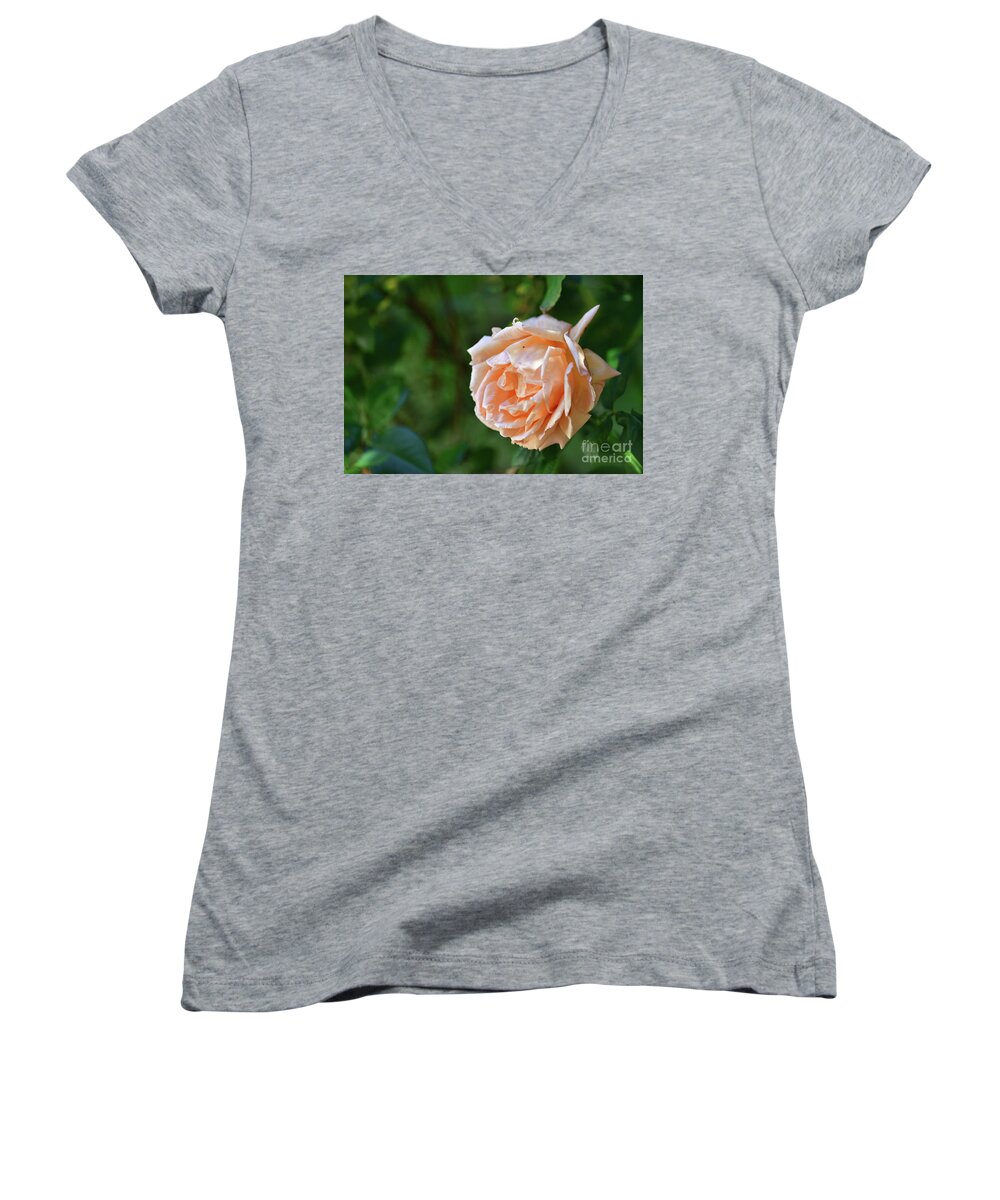 Rose Women's V-Neck featuring the photograph A Huge Rose by Amazing Action Photo Video